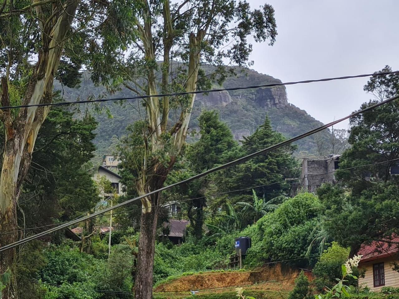 Sasru Holiday Home Nuwara Eliya Kültér fotó