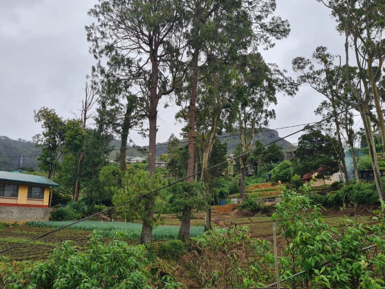 Sasru Holiday Home Nuwara Eliya Kültér fotó